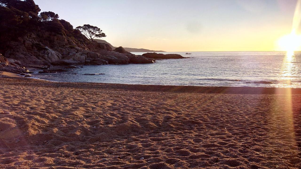 ⭑ Terrace + Sea Views + Private Beach. What Else? ⭑ 또사데마르 외부 사진